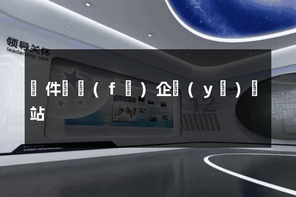 軟件開發(fā)企業(yè)網站