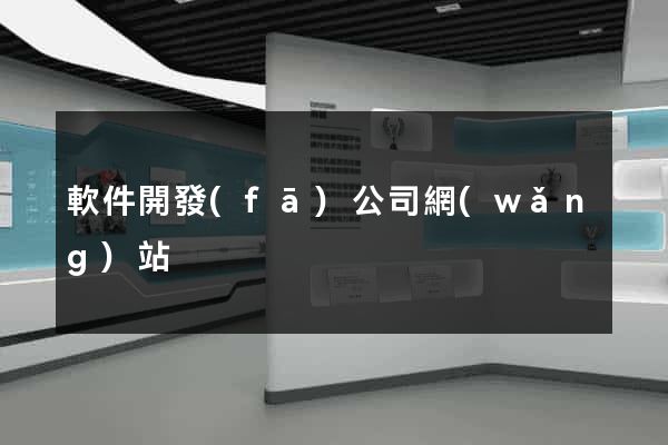 軟件開發(fā)公司網(wǎng)站