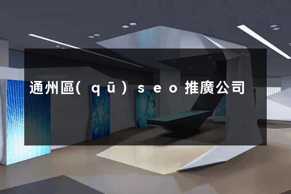 通州區(qū)seo推廣公司