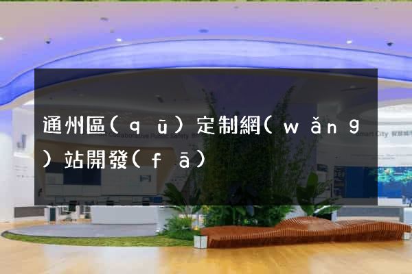 通州區(qū)定制網(wǎng)站開發(fā)