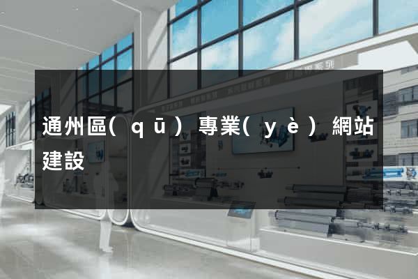 通州區(qū)專業(yè)網站建設
