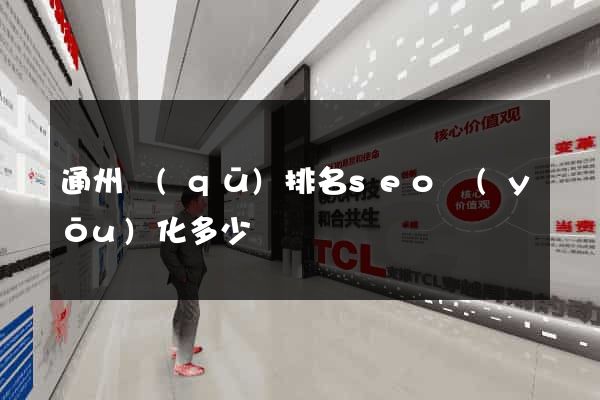通州區(qū)排名seo優(yōu)化多少錢