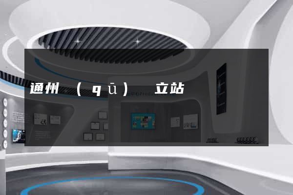 通州區(qū)獨立站運營