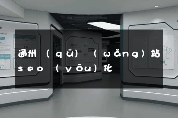 通州區(qū)網(wǎng)站seo優(yōu)化