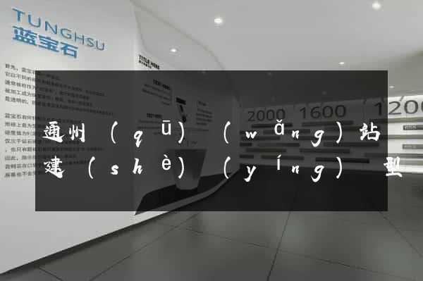 通州區(qū)網(wǎng)站建設(shè)營(yíng)銷型