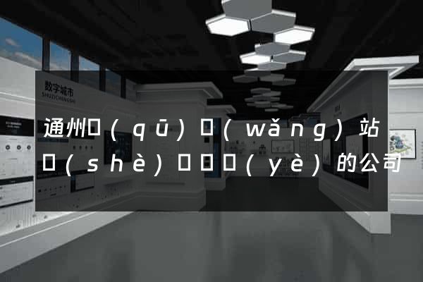 通州區(qū)網(wǎng)站設(shè)計專業(yè)的公司