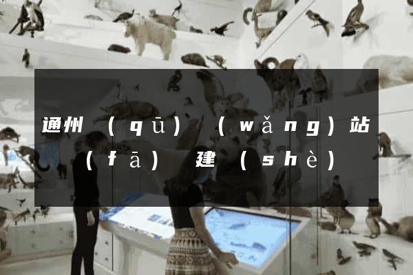 通州區(qū)網(wǎng)站開發(fā)與建設(shè)