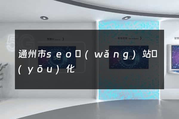 通州市seo網(wǎng)站優(yōu)化