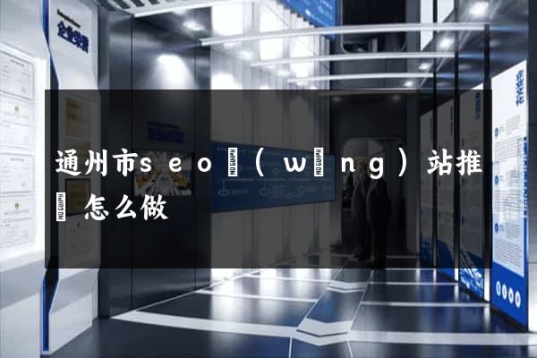 通州市seo網(wǎng)站推廣怎么做