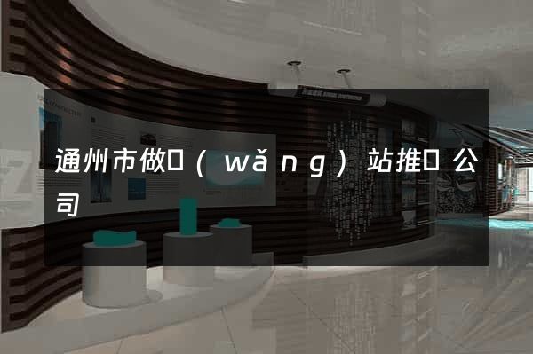 通州市做網(wǎng)站推廣公司