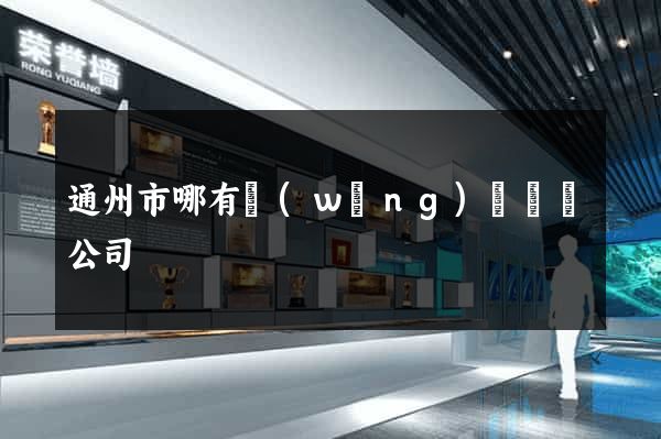 通州市哪有網(wǎng)頁設計公司