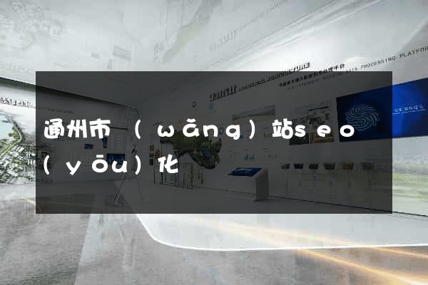通州市網(wǎng)站seo優(yōu)化