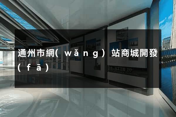 通州市網(wǎng)站商城開發(fā)