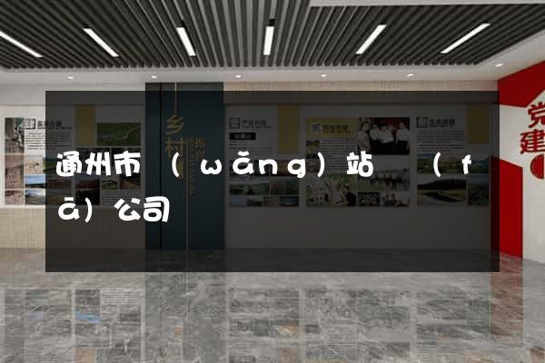 通州市網(wǎng)站開發(fā)公司