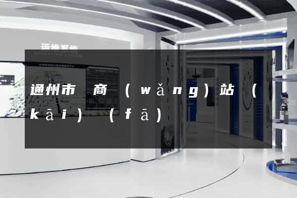 通州市電商網(wǎng)站開(kāi)發(fā)