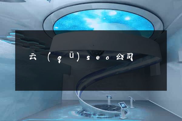 連云區(qū)seo公司