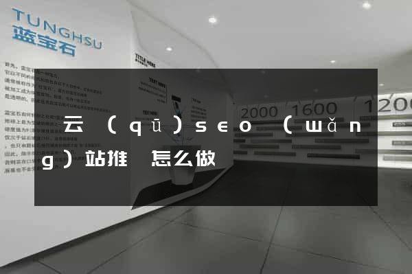 連云區(qū)seo網(wǎng)站推廣怎么做