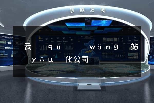 連云區(qū)網(wǎng)站優(yōu)化公司