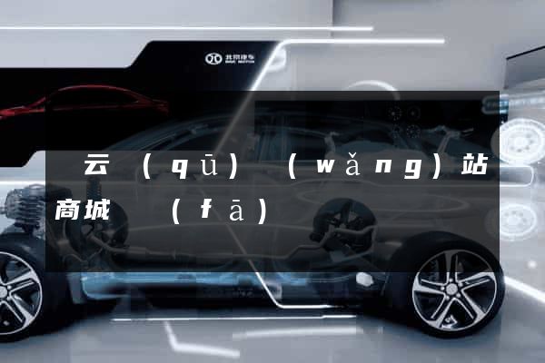 連云區(qū)網(wǎng)站商城開發(fā)
