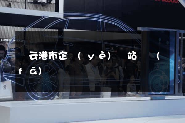 連云港市企業(yè)網站開發(fā)