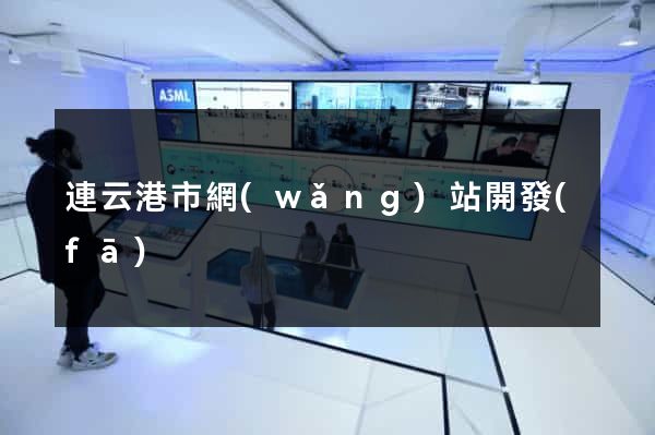 連云港市網(wǎng)站開發(fā)