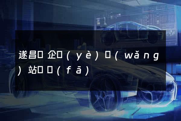 遂昌縣企業(yè)網(wǎng)站開發(fā)