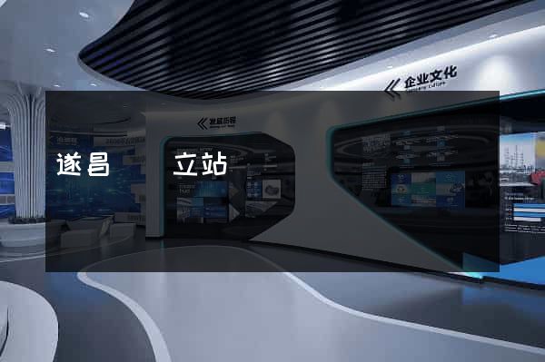遂昌縣獨立站運營
