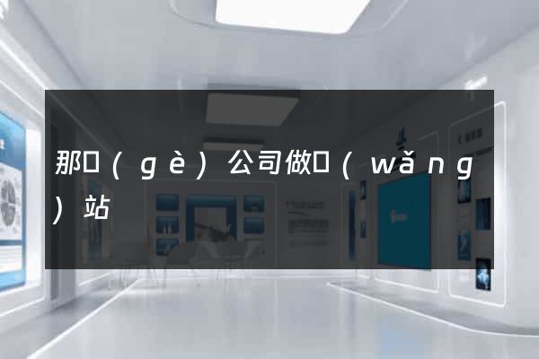 那個(gè)公司做網(wǎng)站