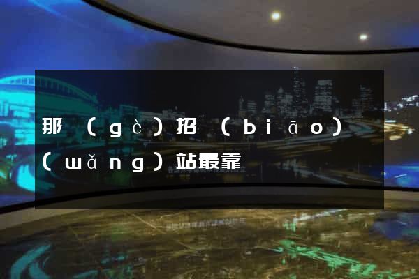 那個(gè)招標(biāo)網(wǎng)站最靠譜