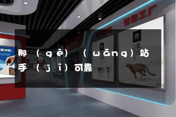 那個(gè)網(wǎng)站買手機(jī)可靠