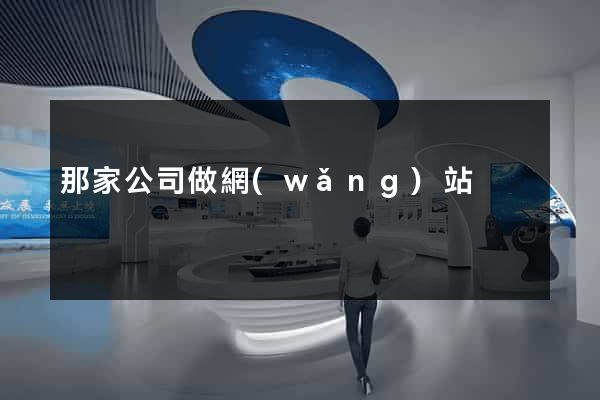 那家公司做網(wǎng)站