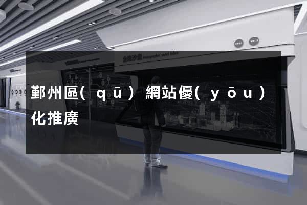 鄞州區(qū)網站優(yōu)化推廣