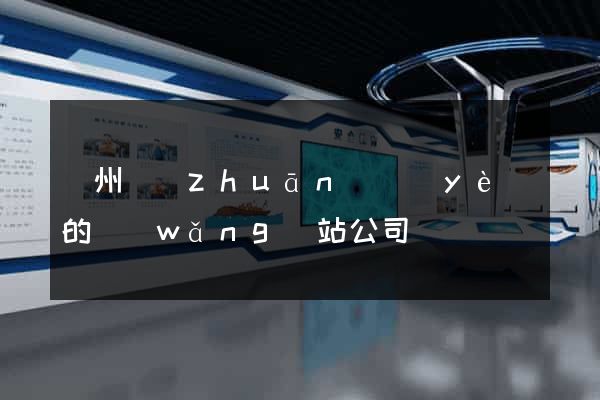 鄭州專(zhuān)業(yè)的網(wǎng)站公司