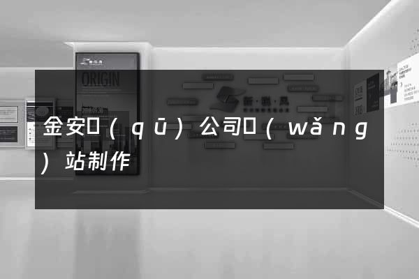 金安區(qū)公司網(wǎng)站制作