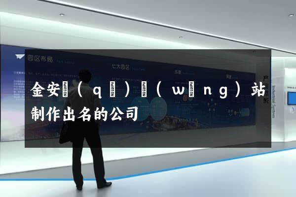 金安區(qū)網(wǎng)站制作出名的公司