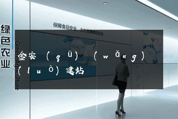 金安區(qū)網(wǎng)絡(luò)建站