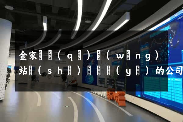 金家莊區(qū)網(wǎng)站設(shè)計專業(yè)的公司