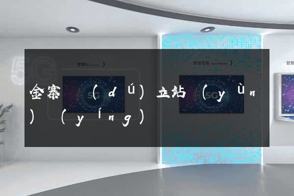 金寨縣獨(dú)立站運(yùn)營(yíng)