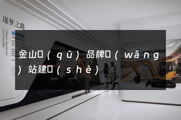 金山區(qū)品牌網(wǎng)站建設(shè)