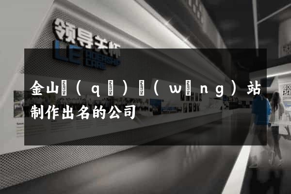 金山區(qū)網(wǎng)站制作出名的公司