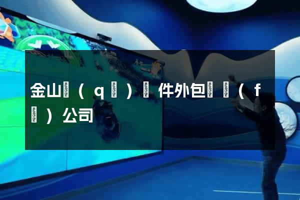 金山區(qū)軟件外包開發(fā)公司