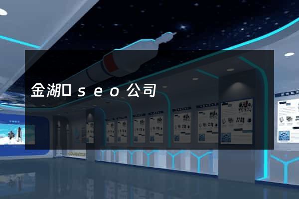 金湖縣seo公司