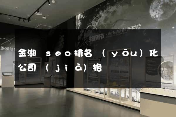金湖縣seo排名優(yōu)化公司價(jià)格