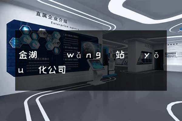 金湖縣網(wǎng)站優(yōu)化公司
