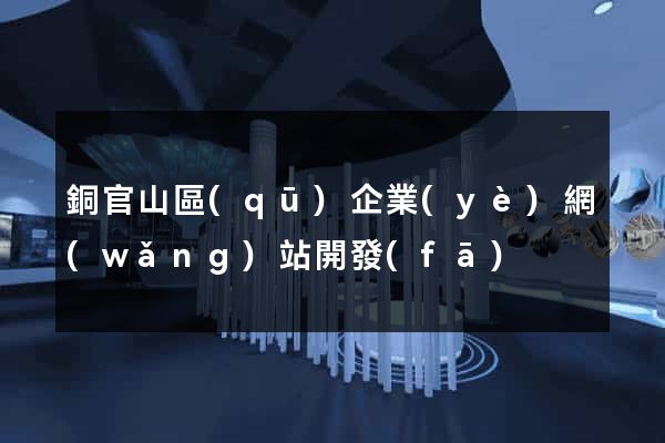 銅官山區(qū)企業(yè)網(wǎng)站開發(fā)