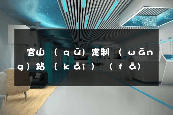 銅官山區(qū)定制網(wǎng)站開(kāi)發(fā)