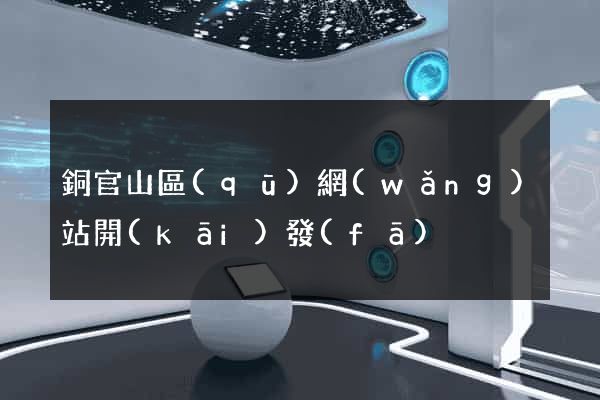 銅官山區(qū)網(wǎng)站開(kāi)發(fā)