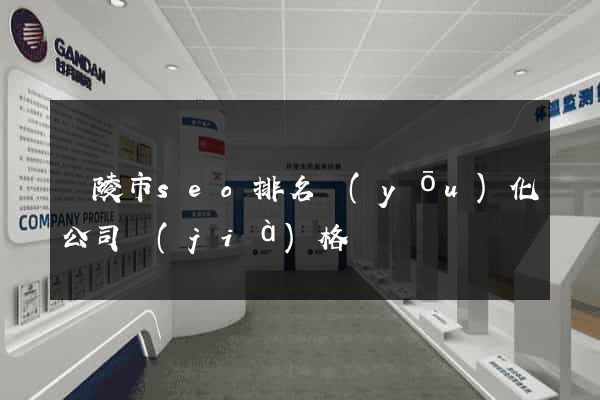 銅陵市seo排名優(yōu)化公司價(jià)格