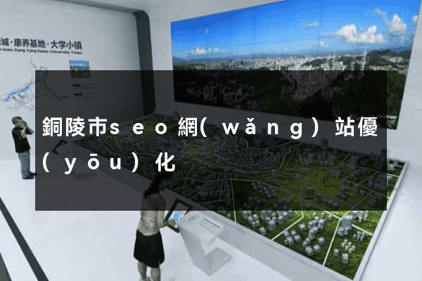 銅陵市seo網(wǎng)站優(yōu)化