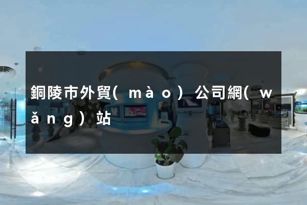 銅陵市外貿(mào)公司網(wǎng)站